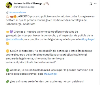 La senadora agradeció a los abogados que colaboraron con el trámite de la denuncia - crédito @andreanimalidad/X