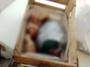 Foto: @_Jose_Huerta / Twitter