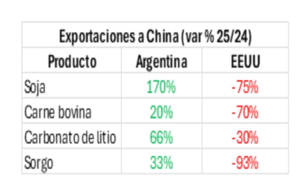 El nuevo mapa del comercio mundial abre oportunidades para Argentina