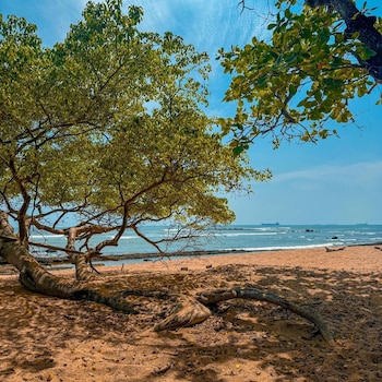 Las playas de arena dorada y roca volcánica de El Salvador