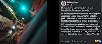 harry styles fan puebla