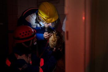 La ley ahora dará prioridad