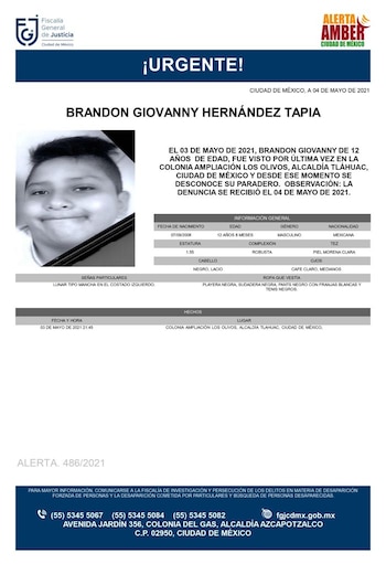 Ficha de búsqueda - Brandon Giovanni Hernández Tapia