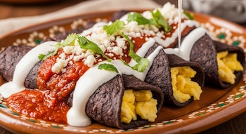 Plato de enfrijoladas con tortillas oscuras rellenas de huevo revuelto, bañadas en salsa roja, crema blanca, queso fresco desmoronado y cilantro fresco.
