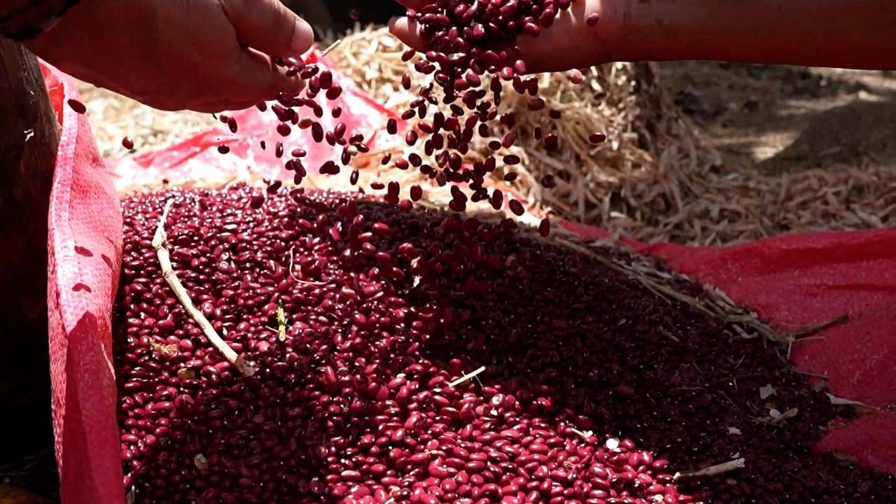 Ricardo Navarro propuso crear reservas estratégicas de granos básicos y semillas locales para enfrentar la sequía y los problemas de abastecimiento en El Salvador.