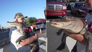 La insólita historia de Joie