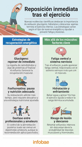 Infografía: atleta estirando, paneles sobre glucógeno, fosfocreatina, fatiga central, hidratación, riesgo de lesión. Íconos de músculo, bananas, cerebro, agua, hielo.