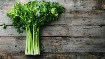 (Imagen Ilustrativa Infobae)