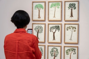 Persona de espaldas con un teléfono móvil en la mano fotografiando una pared con doce dibujos de árboles enmarcados con madera