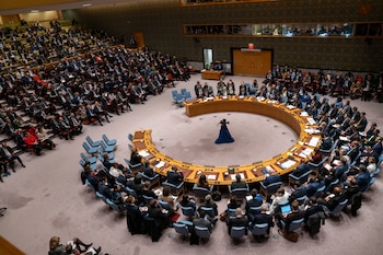 Vista del pleno del Consejo