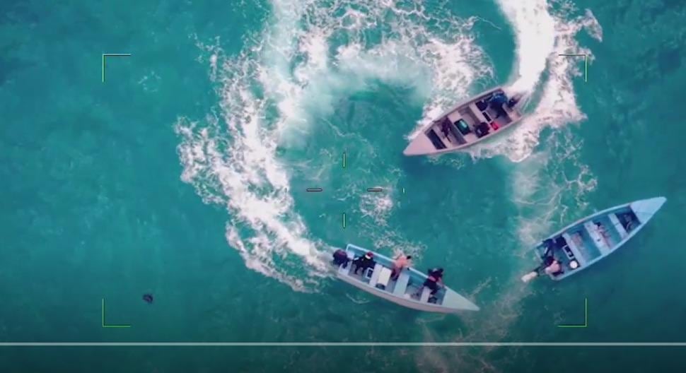 La operación Zeus Caribe I consolidó una histórica colaboración internacional en el Caribe contra el delito transnacional y el narcotráfico - crédito prensa FAC