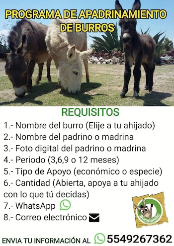 Qué se necesita para apoyar