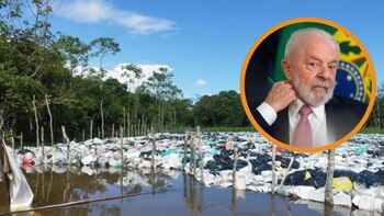 Composición: Infobae Perú