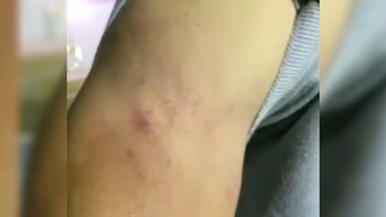 Paulo Autuori habría herido a un recogepelotas en el juego ante Águilas. Foto: Águilas Doradas (Revista Semana)