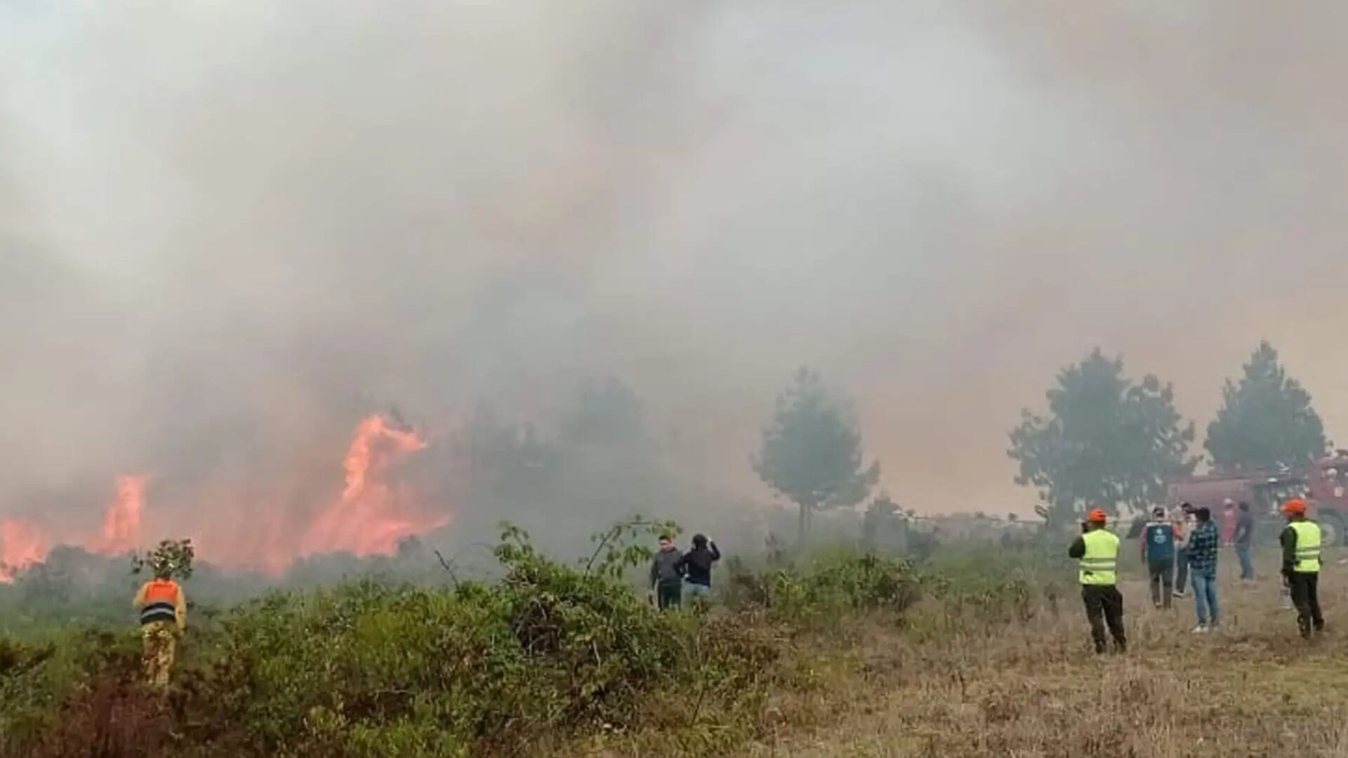 Solo Amazonas ha registrado 8 incendios forestales en lo que va de septiembre: 426 hectáreas fueron afectadas