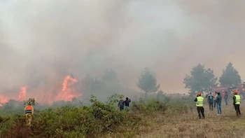 Solo Amazonas ha registrado 8 incendios forestales en lo que va de septiembre: 426 hectáreas fueron afectadas