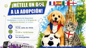 Un cachorro y un gatito con pañuelos de banderas, un balón de fútbol, varias banderas nacionales, un monumento y un tren con texto informativo