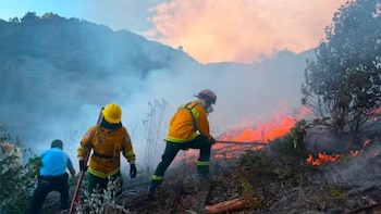 Cusco: Detienen a sospechoso de provocar incendio en Sacsayhuamán que comprometió tres hectáreas del parque
