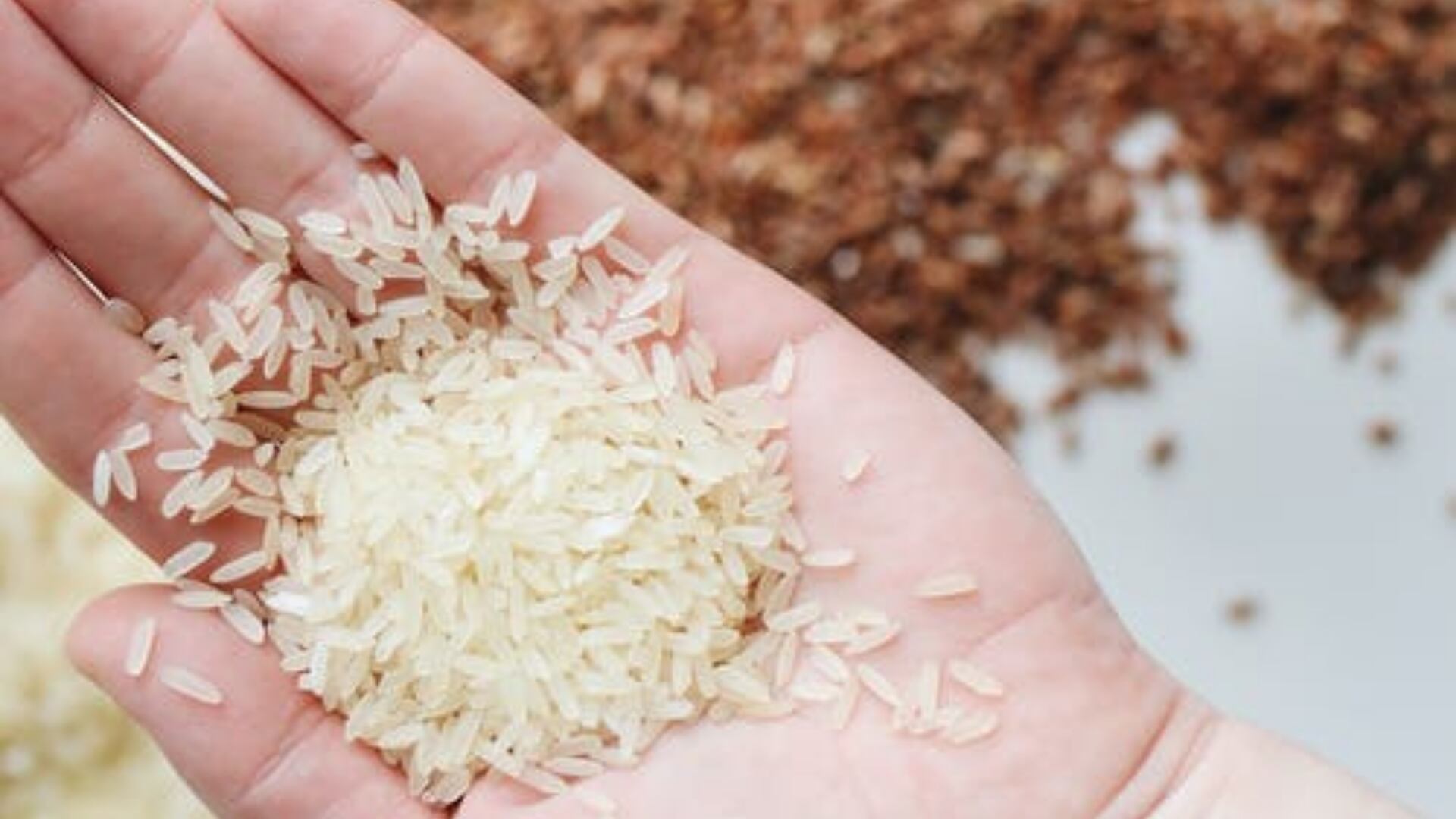 ¿Hay que lavar el arroz antes de cocinarlo?