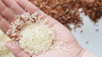 ¿Hay que lavar el arroz antes de cocinarlo?