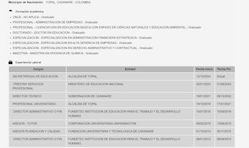 Datos academicos y profesionales de