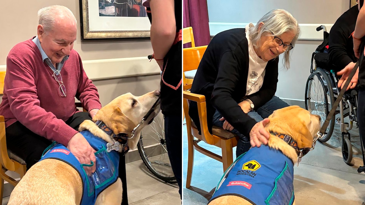 Persona mayor acariciando a un perro de terapia en una residencia