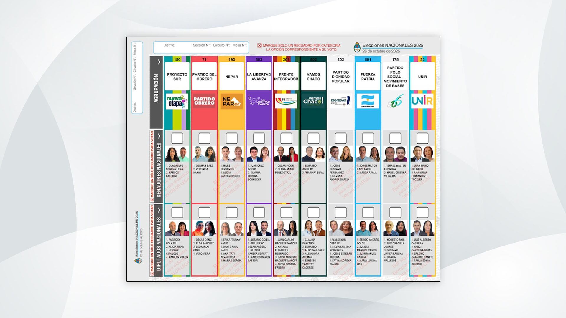 Los chaqueños deberán elegir a sus candidatos entre 10 listas
