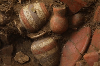 Trabajos de micro-excavación y conservación