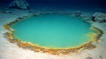 Por qué el hallazgo de bacterias en una antigua cuenca del Mar Rojo permite entender cómo era la vida antes del oxígeno en la Tierra