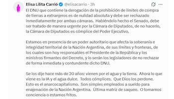 Elisa Carrió - Ley de Tierras
