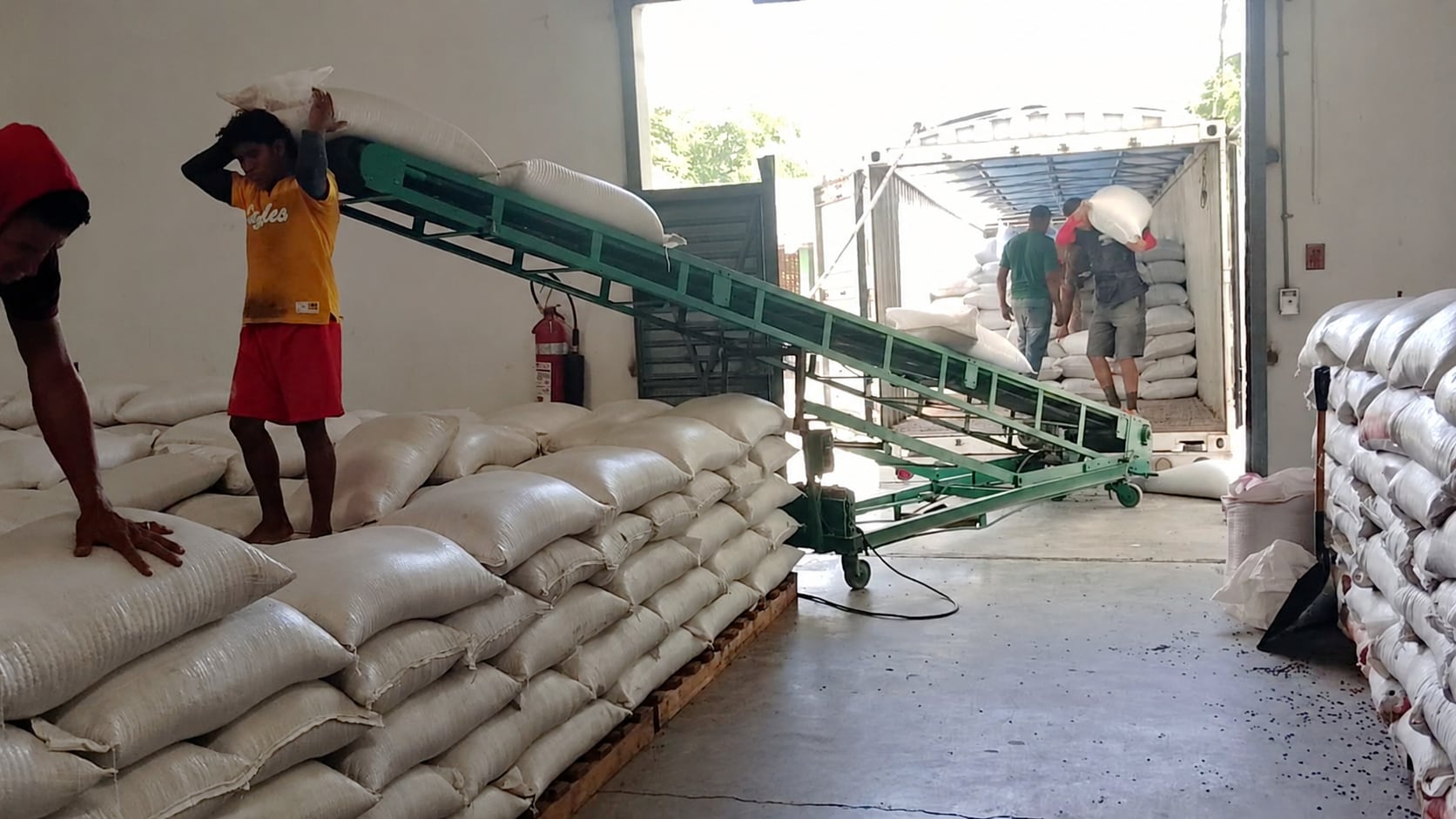 Productores agrícolas exigen una investigación sobre el manejo del grano almacenado. (FOTO: IHMA)
