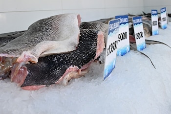 El clima influye en el