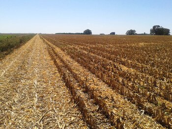 "Con una política que priorice