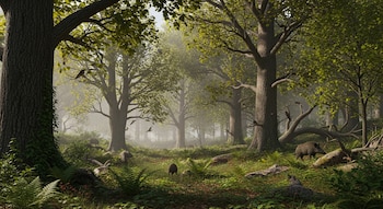 Bosque mixto con grandes robles y otros árboles de hojas verdes, helechos en el suelo, dos jabalíes y varias aves en un entorno brumoso con luz filtrada.