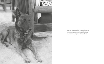 Imágenes del interior de 'En