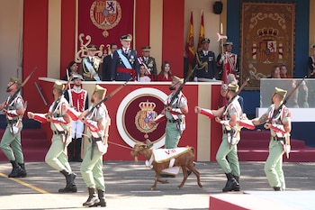 Imagen PRZ5VINJ4ZDDLA5N252RJA5VEI