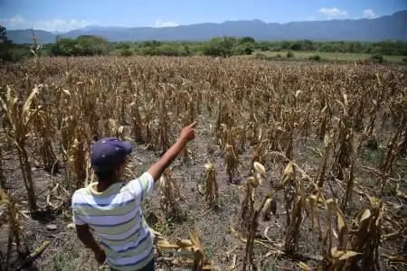 Congreso hondureño solicita informes a secretarías por impacto de la sequía