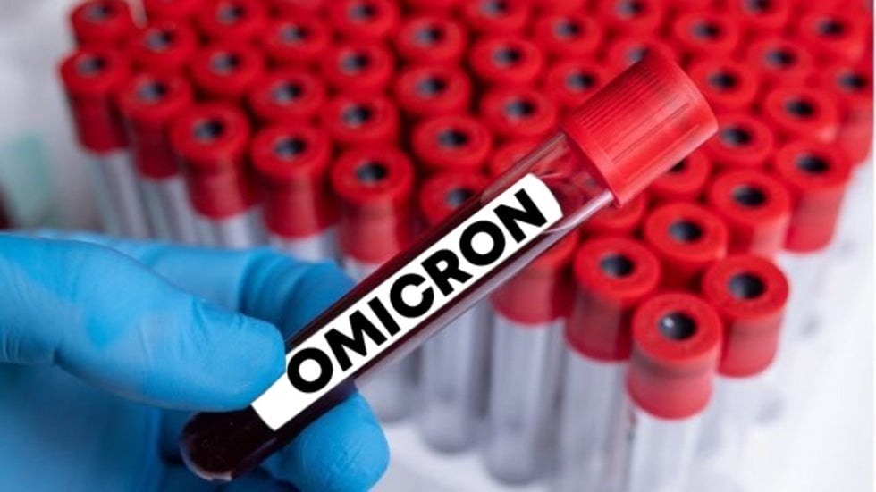 BA.3.2 desciende de Ómicron BA.3 y la OMS la clasificó como variante bajo monitoreo, por su posible relevancia para la salud pública - crédito EFE