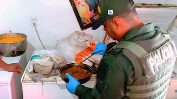 Investigan a restaurante en Cartagena que exhibía en su cartelera un menú con carne de especies protegidas como ponche, conejo, armadillo y ñeque