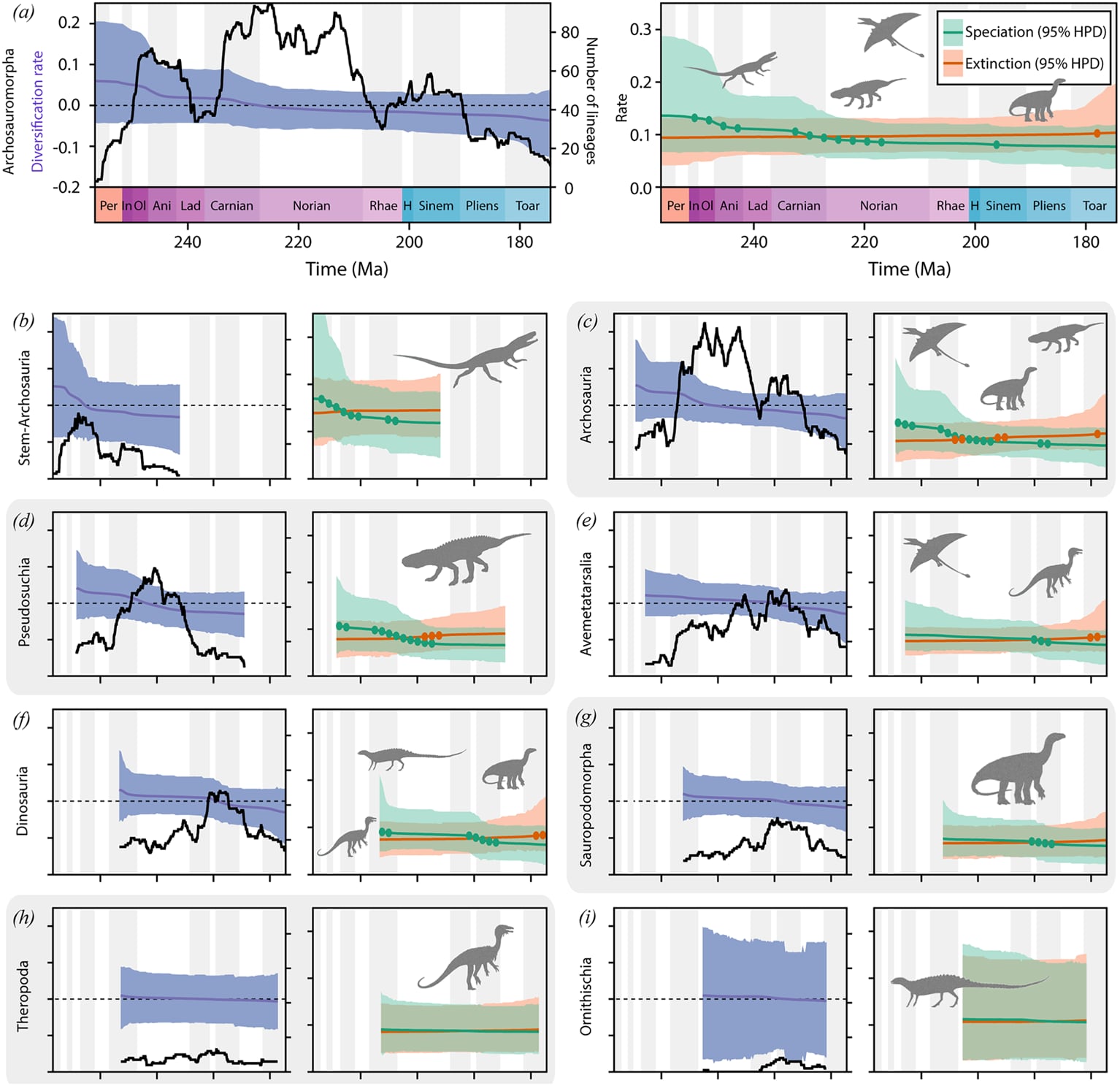 La extinción masiva del Pérmico abrió oportunidades para la expansión de los arcosauromorfos, el grupo que incluye a dinosaurios y cocodrilos (Crédito: Gentileza, estudio El amanecer de los dinosaurios demuestra explosiones de diversificación tempranas y un papel potencial para la dinámica neutral durante las principales radiaciones evolutivas, publicado en Proceedings of the Royal Society B)