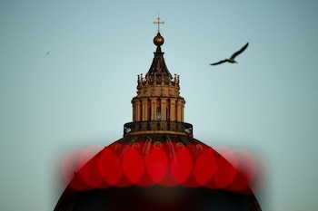 A bird flies past the