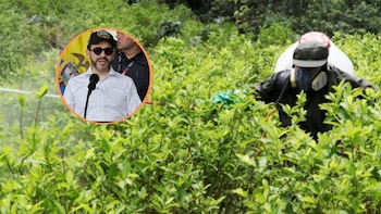 Gobierno de Abelardo de la Espriella volverá a fumigar cultivos ilícitos, pero no usarán glifosfato: este es el químico con el que se adelantará un plan piloto