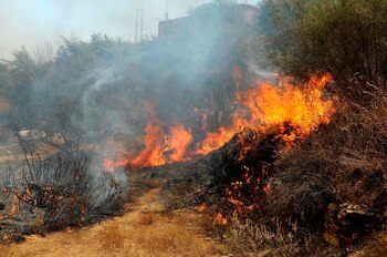 Incendios en Argelia. EFE/EPA/STR