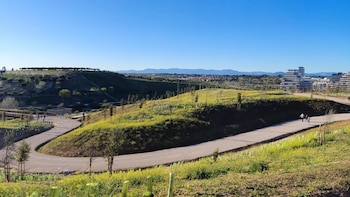 Parque Forestal de Valdebebas