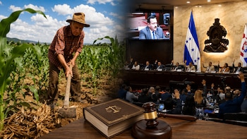 Ley agroindustrial en Honduras genera debate por posible impacto en conflictos de tierras y derechos comunitarios