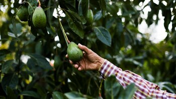 El impacto del Super Bowl