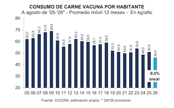 Gráfico de barras sobre el consumo de carne vacuna por habitante en kilogramos al año, con datos desde 2005 hasta 2026 y fuente CICCRA