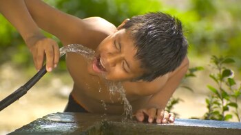 Conozca el método esencial para purificar el agua: garantizará su potabilidad y podrá prevenir enfermedades