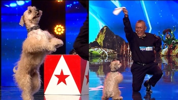 Perú Tiene Talento: Concursante y