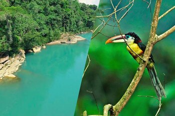 Imagen PTOUP6NSHFAIJIYDKBCGPWID5U